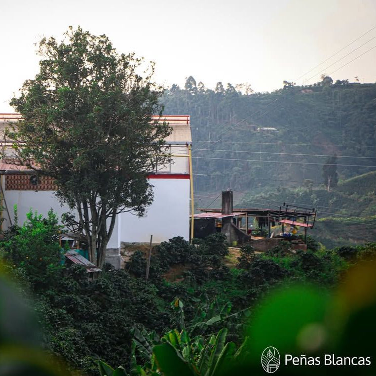 Penas Blancas