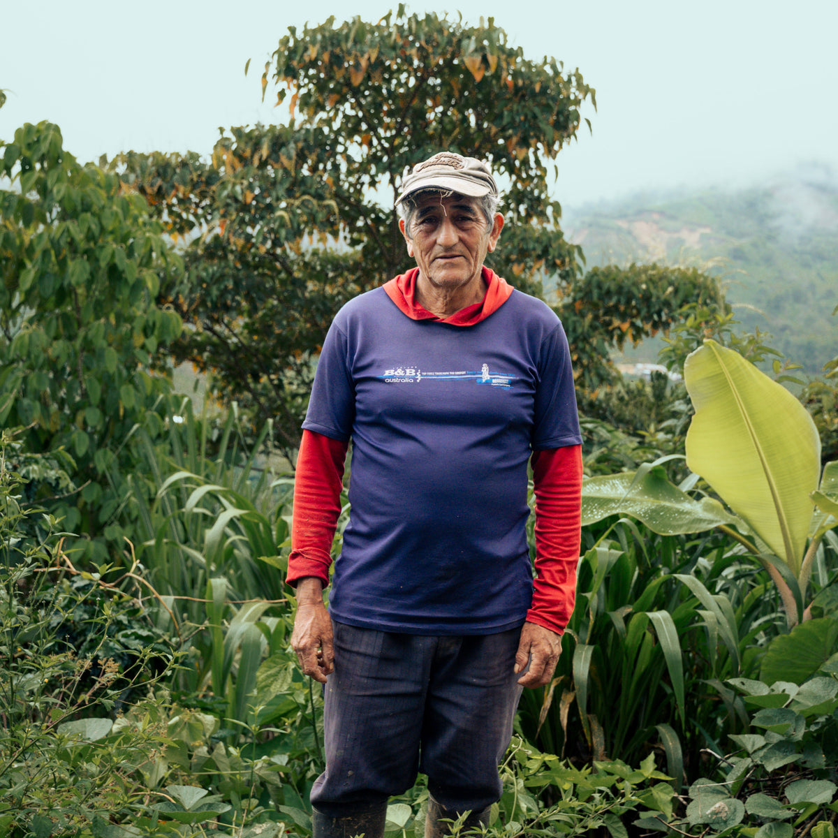 El Cedro