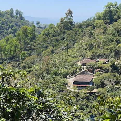 Finca Bella Aurora